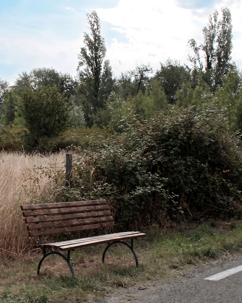 Bench