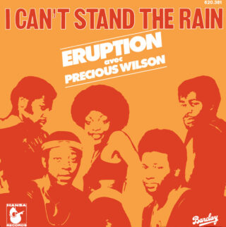 I Can&rsquo;t Stand The Rain